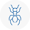Ant Removals In Borehamwood