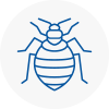Bed Bug Extermination In Borehamwood