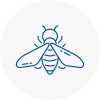 Bee Nest Removal Borehamwood