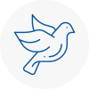Bird Prevention Borehamwood