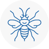 Borehamwood Hornet Nest Removals