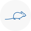 Mice Exterminators In Borehamwood