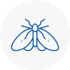 Moth Control Specialists In Borehamwood