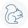 Borehamwood Rodent Removals
